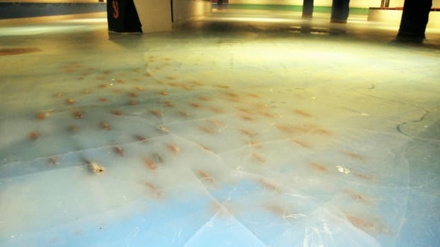 space-world-dead-fish-skating-rink.jpg